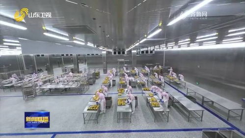 聊城烤鴨 首飛 歐洲 特色農(nóng)產(chǎn)品國際 朋友圈 不斷擴大