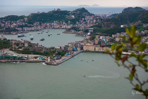 臺州的?！涟雿u